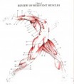/album/photogallery/anatomy-jpg/